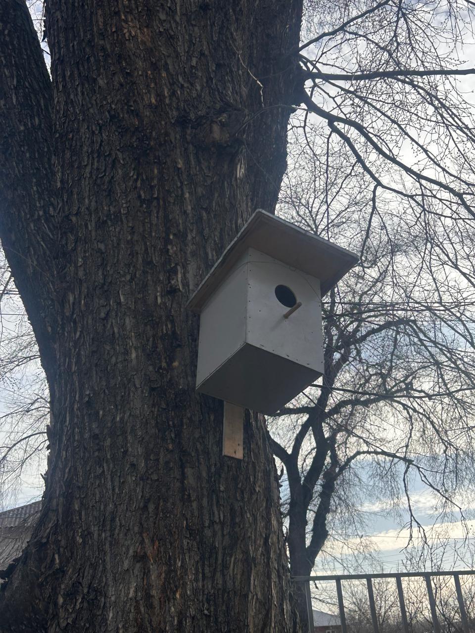 "Менің кішкентай достарым". «Мои меньшие друзья»