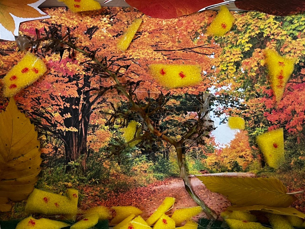 Выставка «Чудеса из мусора»,